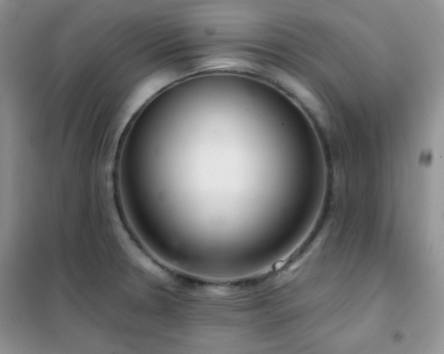 X0000102381330200808011528
