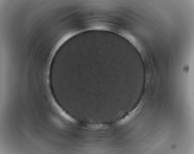 X0000102381331200808011528