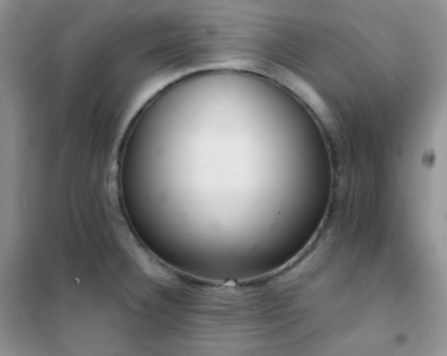 X0000102381332200808011528