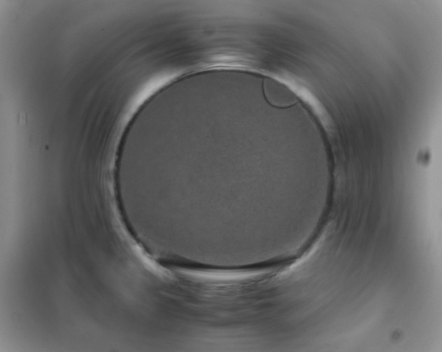 X0000102381333200808011528