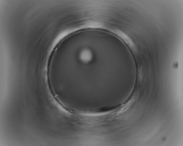 X0000102381334200808011528