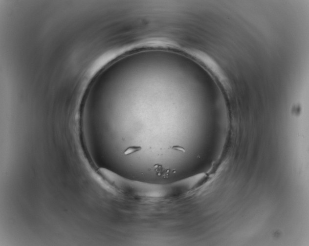 X0000102381335200808011528