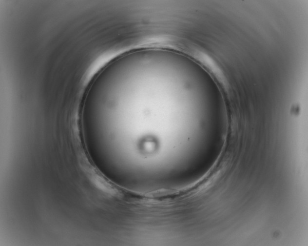 X0000102381336200808011528