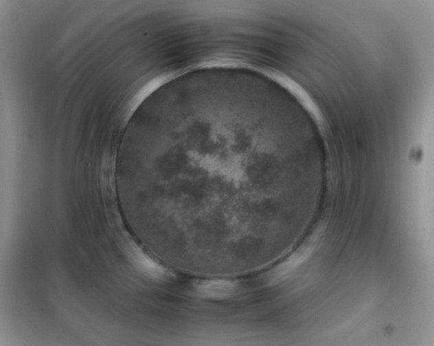 X0000102381337200808011528