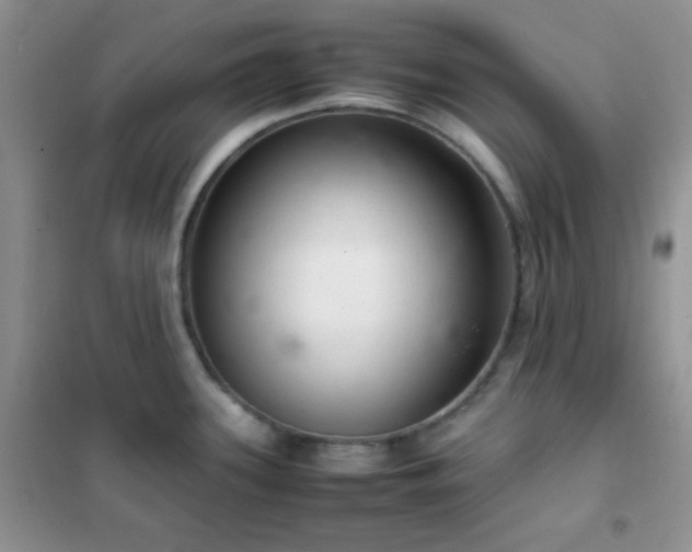 X0000102381339200808011528