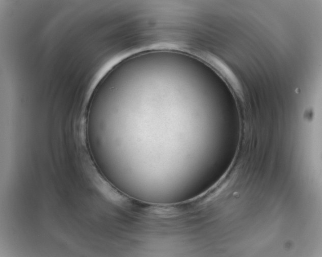 X0000102381340200808011528