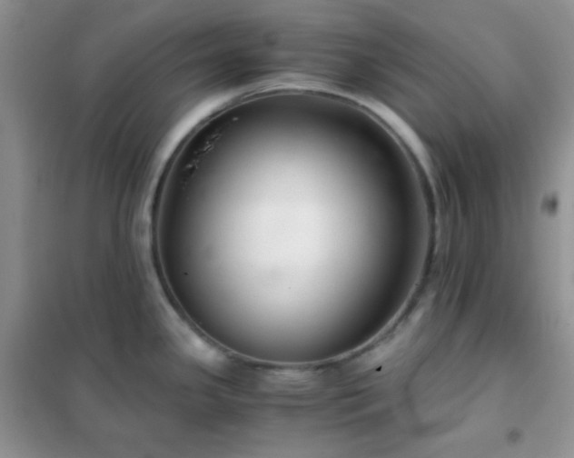 X0000102381341200808011528
