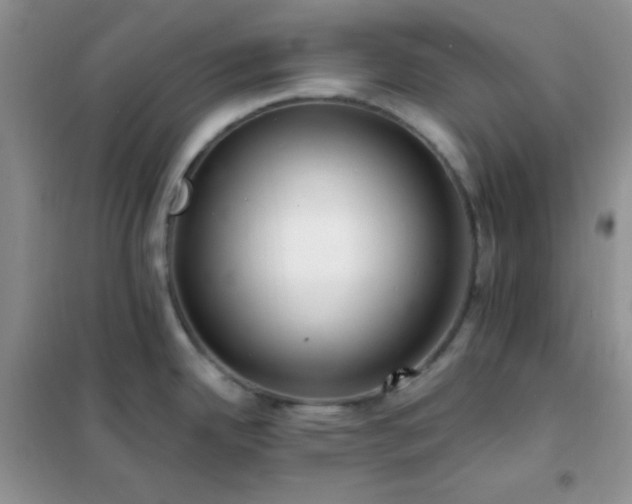 X0000102381342200808011528