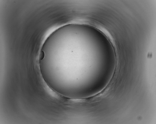 X0000102381344200808011528