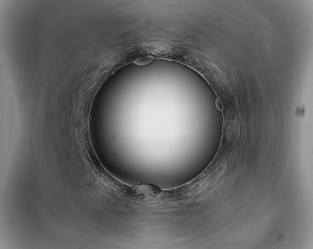 X0000102381345200808011527