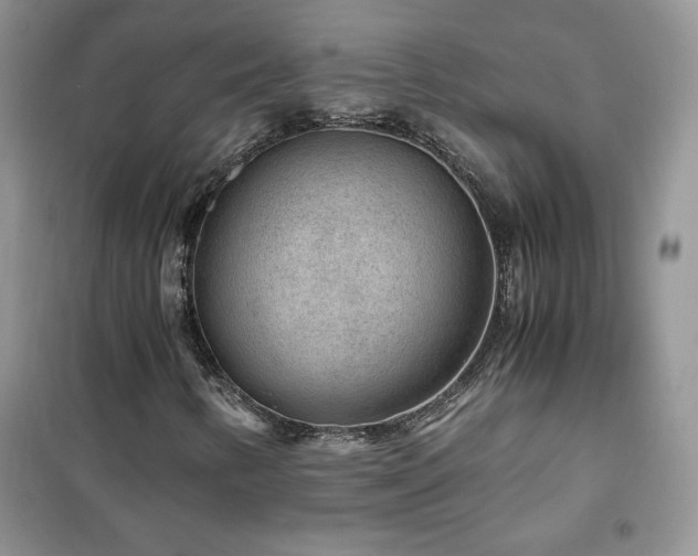 X0000102381346200808011527