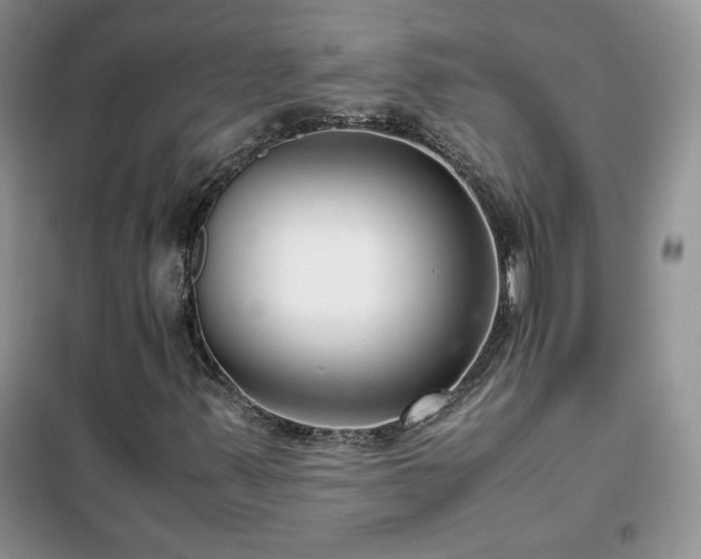 X0000102381347200808011527