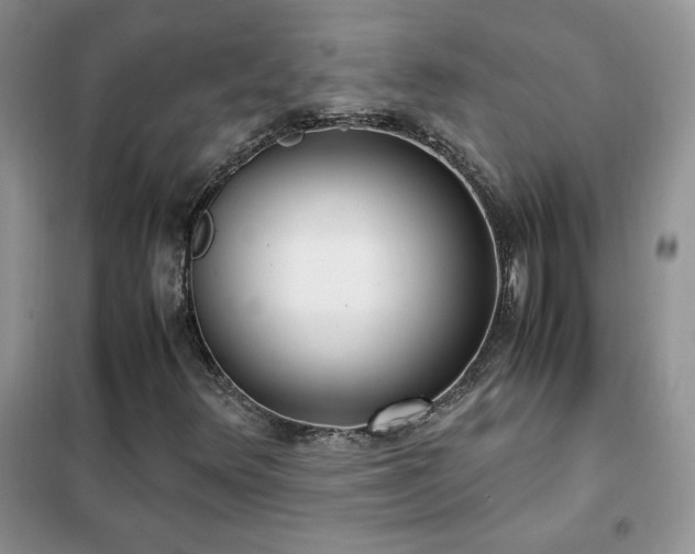 X0000102381348200808011527