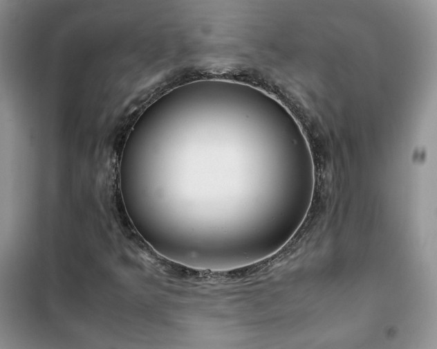 X0000102381349200808011527