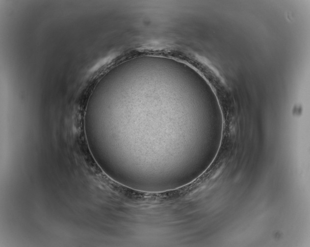 X0000102381350200808011527