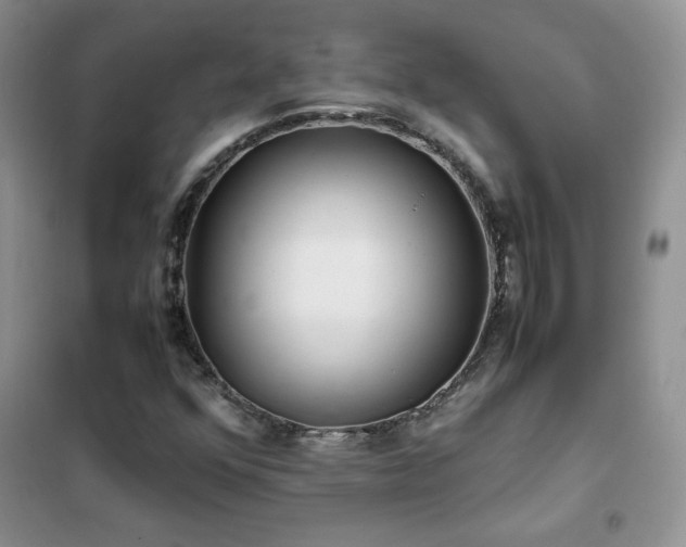 X0000102381352200808011527