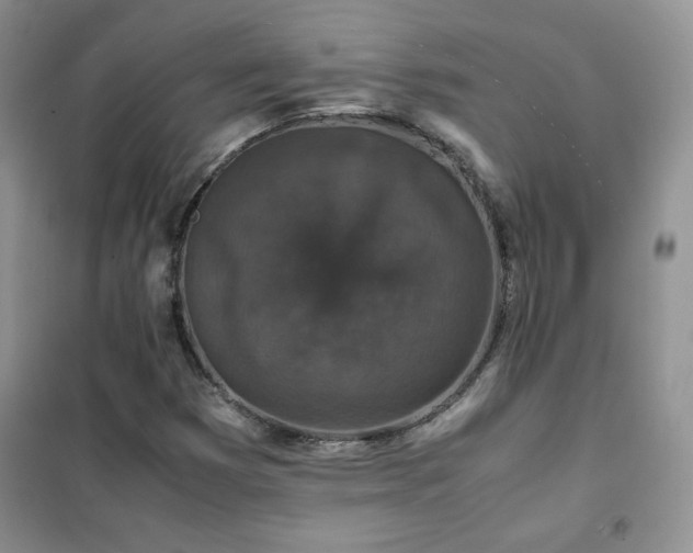 X0000102381353200808011527