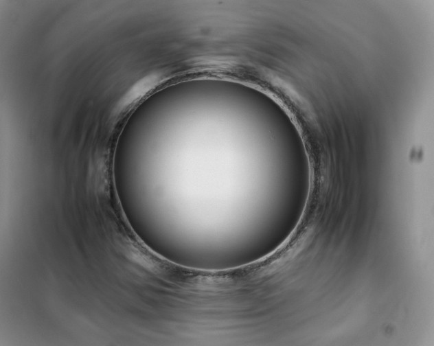 X0000102381354200808011527