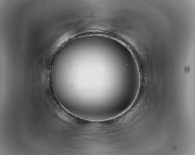 X0000102381355200808011527