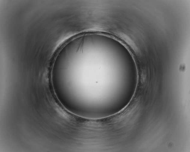 X0000102381356200808011527