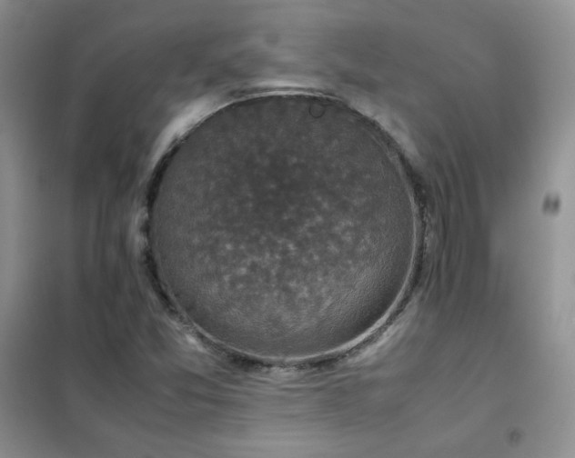 X0000102381357200808011527