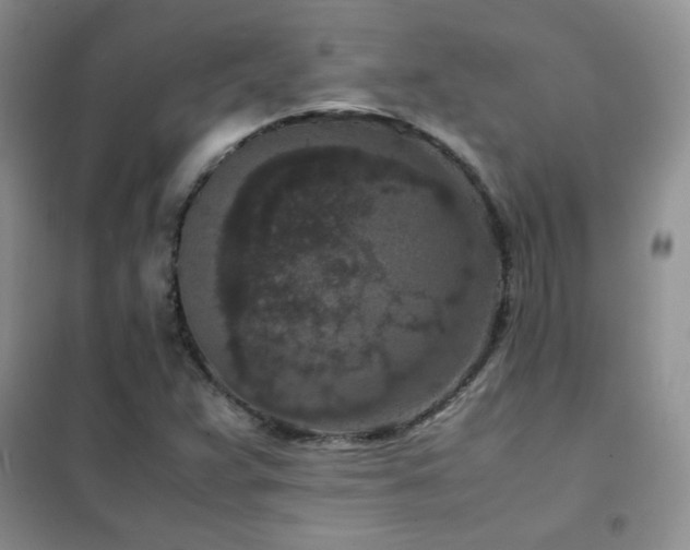 X0000102381359200808011527