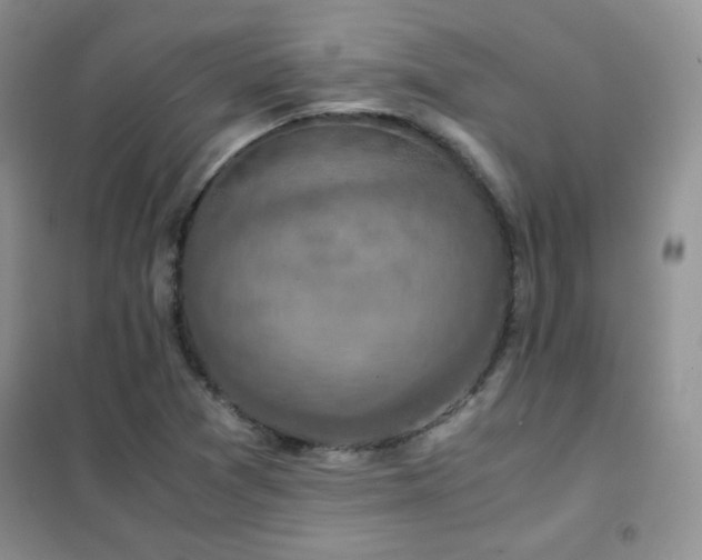 X0000102381361200808011527