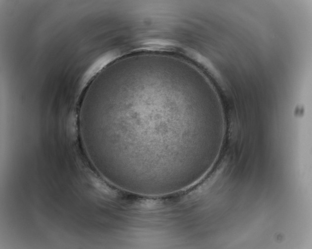 X0000102381362200808011527