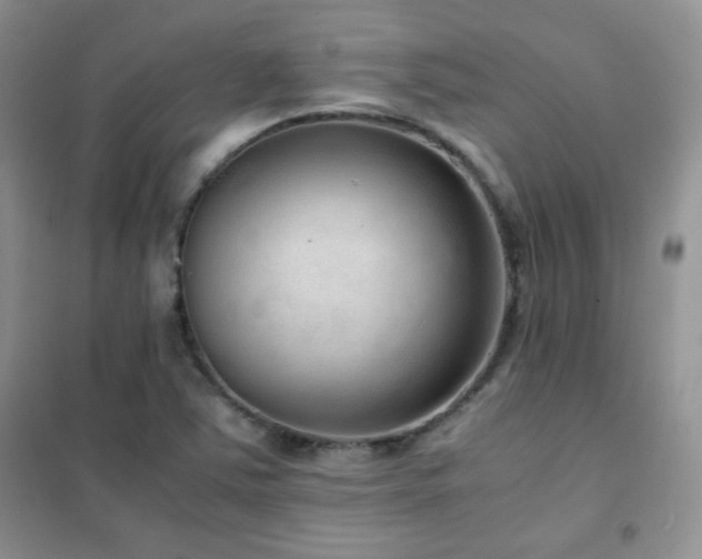 X0000102381363200808011527