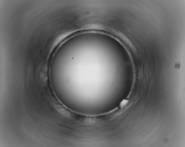 X0000102381364200808011527