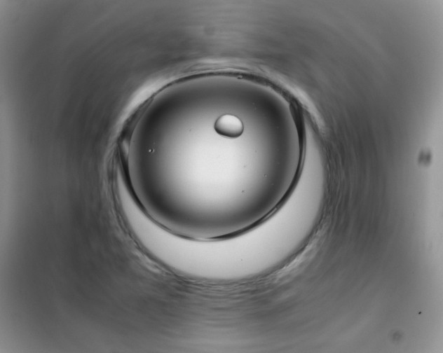 X0000102381365200808011527