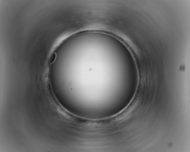 X0000102381366200808011527
