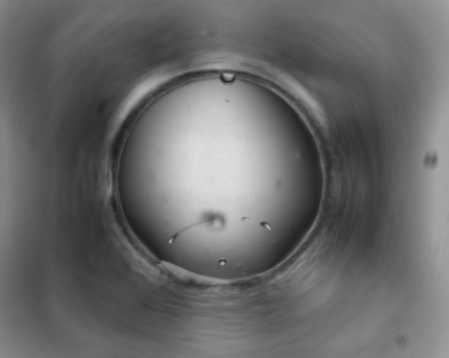 X0000102381368200808011527