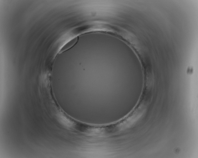 X0000102381369200808011527