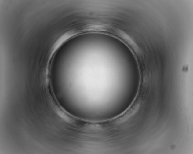 X0000102381370200808011527