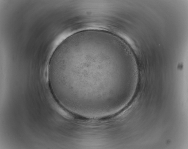 X0000102381371200808011527