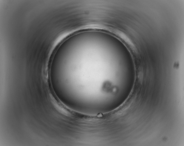 X0000102381372200808011527