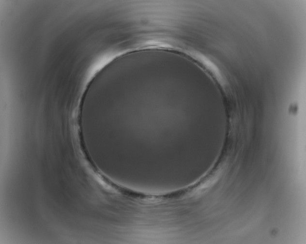 X0000102381373200808011527
