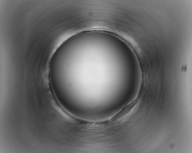 X0000102381374200808011527