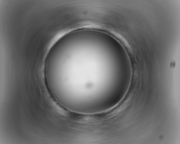 X0000102381375200808011527
