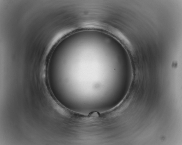 X0000102381376200808011527