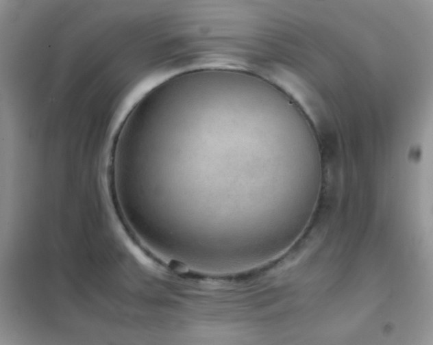 X0000102381379200808011527