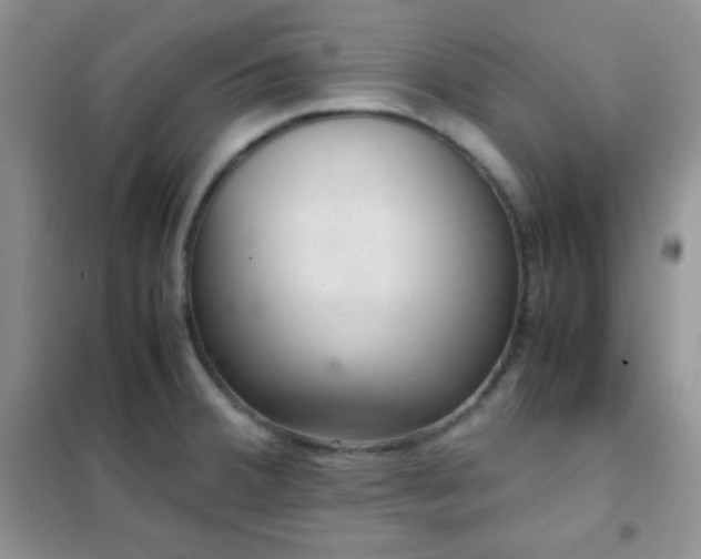 X0000102381380200808011527