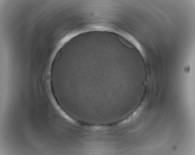 X0000102381381200808011527