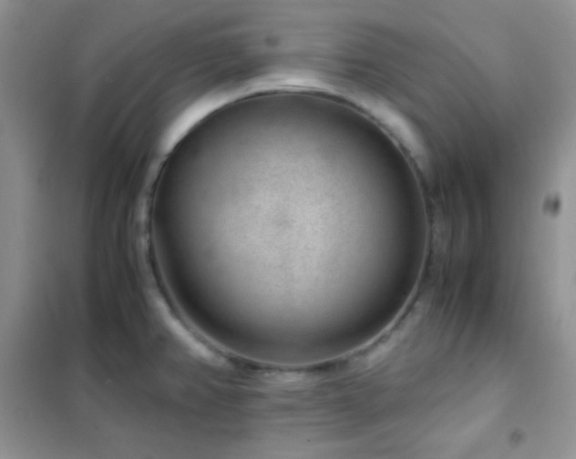 X0000102381382200808011527