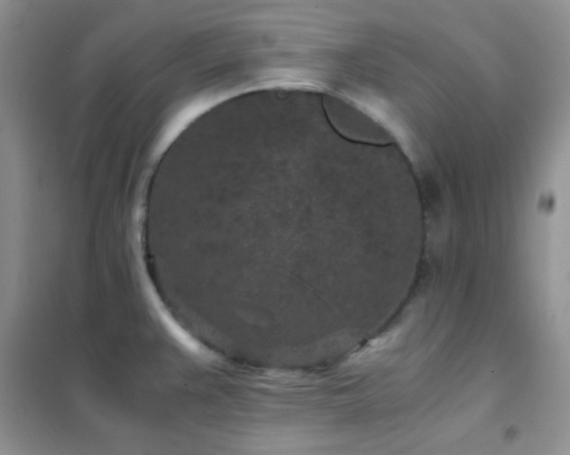 X0000102381383200808011527