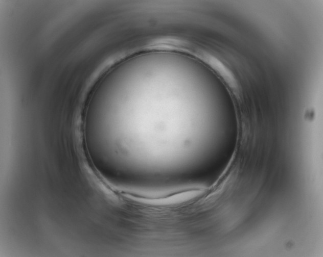 X0000102381384200808011527