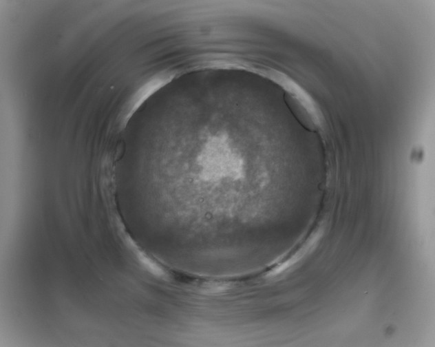 X0000102381385200808011527