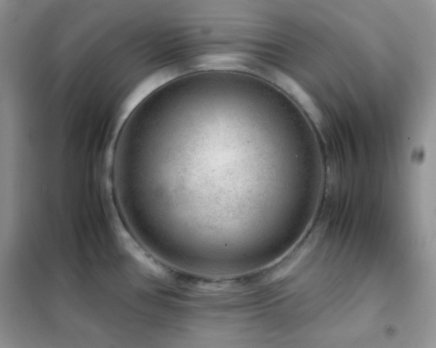 X0000102381386200808011527