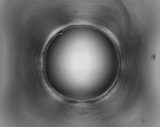 X0000102381388200808011527